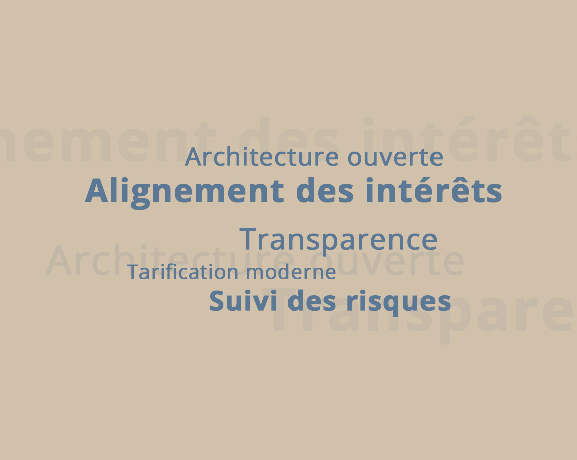 IGEA Finance